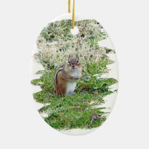 Eastern Chipmunk Ceramic Tree Decoration