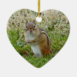 Eastern Chipmunk Ceramic Tree Decoration