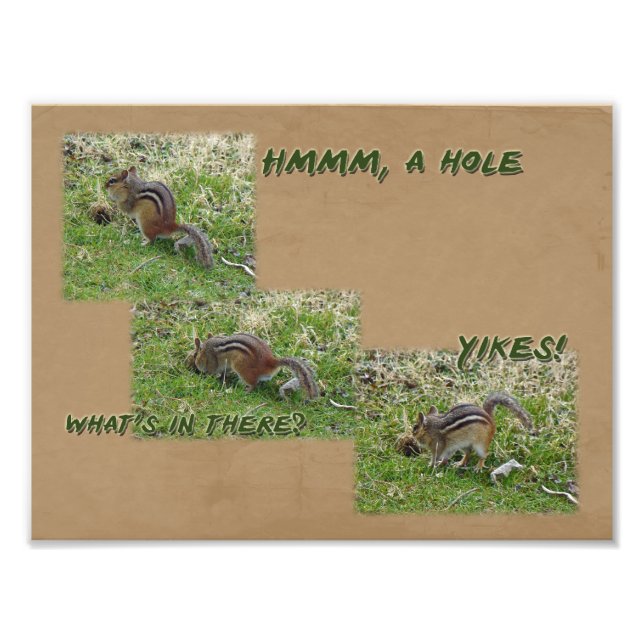 Eastern Chipmunk Discovers a Hole Photo Print (Front)