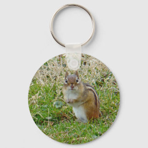 Eastern Chipmunk Key Ring