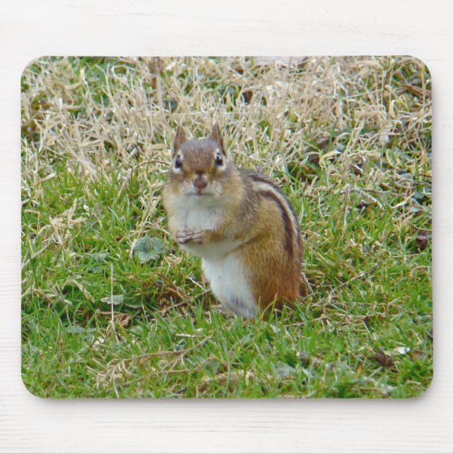 Eastern Chipmunk Mouse Pad (Front)