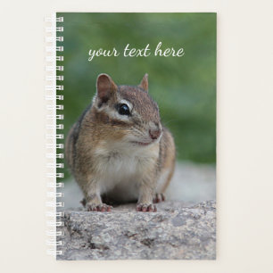Eastern Chipmunk Planner
