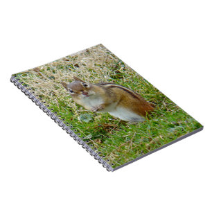 Eastern Chipmunk Spiral Notebook