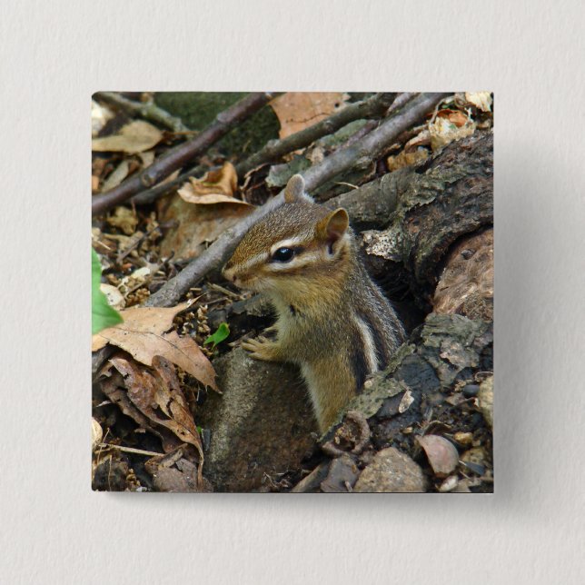 Eastern Chipmunk - Tamias striatus 15 Cm Square Badge (Front)