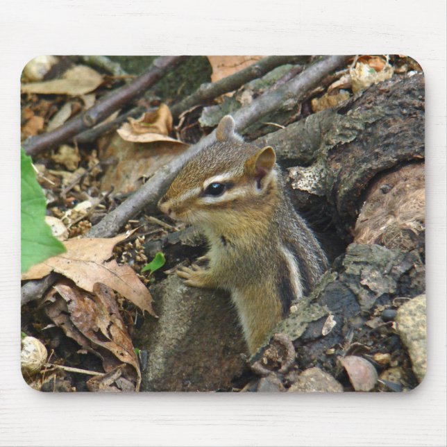 Eastern Chipmunk - Tamias striatus Mouse Pad (Front)