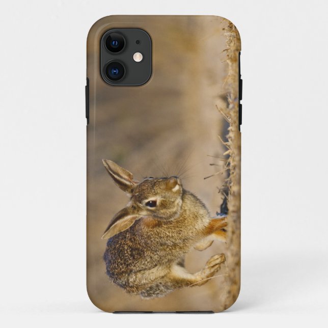 Eastern cottontail rabbit hopping Case-Mate iPhone case (Back)