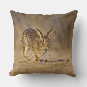 Eastern cottontail rabbit hopping cushion