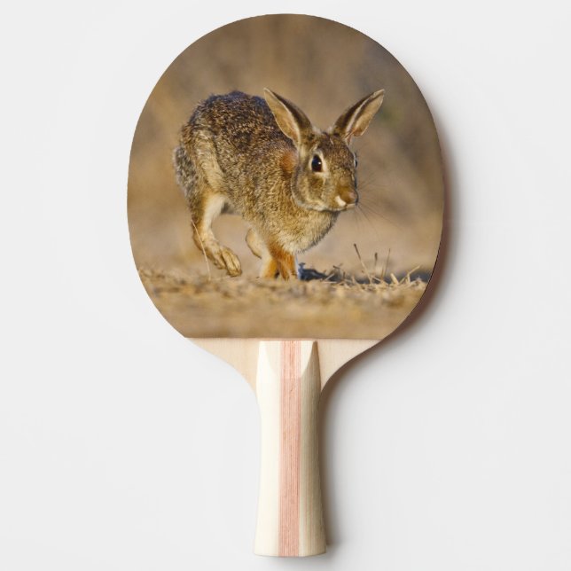 Eastern cottontail rabbit hopping ping pong paddle (Front)