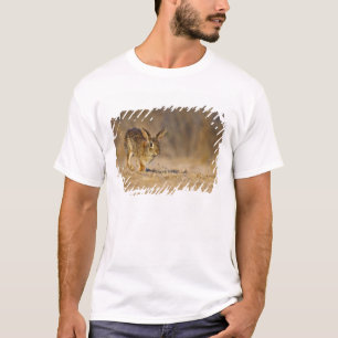 Eastern cottontail rabbit hopping T-Shirt