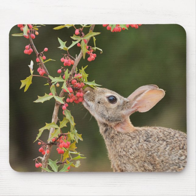 Eastern Cottontail | South Texas Mouse Pad (Front)