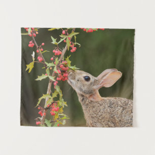 Eastern Cottontail South Texas Tapestry