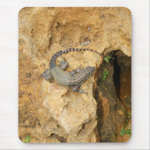 Eastern Fence Lizard Mouse Pad