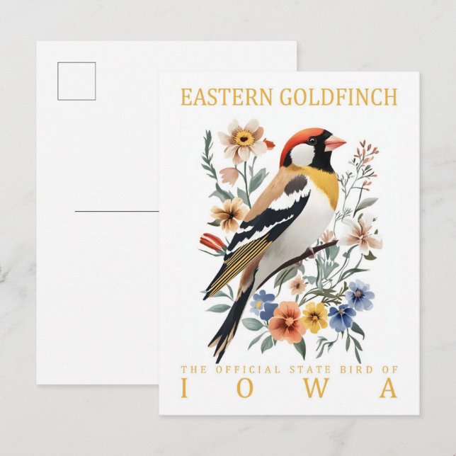 Eastern Goldfinch Bird of Iowa USA Travel Postcard (Front/Back)