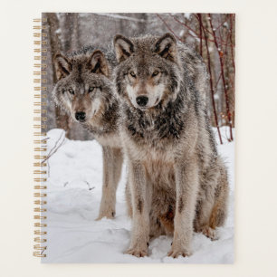 Eastern Gray Wolf Planner