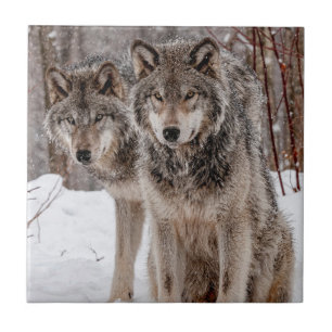 Eastern Gray Wolf Tile