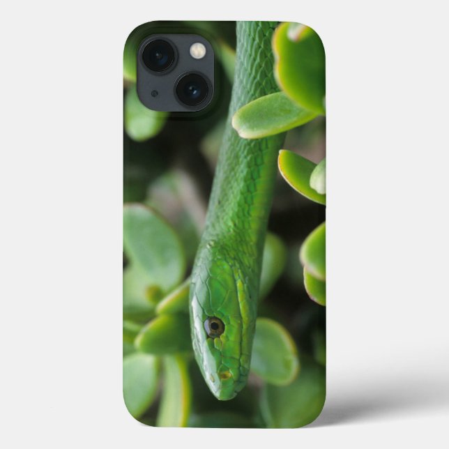 Eastern Green Mamba (Dendroaspis Angusticeps) Case-Mate iPhone Case (Back)