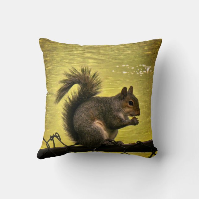  Eastern grey squirrel  Cushion (Back)