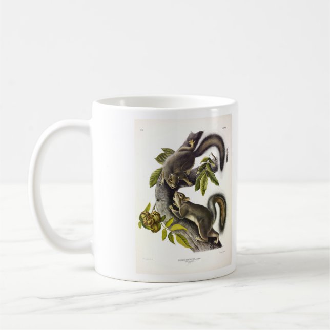 Eastern Grey Squirrel (Migratory Squirrel) Audubon Coffee Mug (Left)