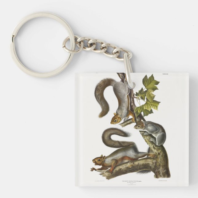 Eastern Grey Squirrel (Migratory Squirrel) Audubon Key Ring (Front)