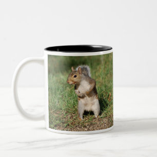 Eastern Grey Squirrel mug