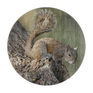 Eastern Grey Squirrel, or grey squirrel Cutting Board