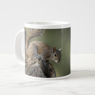 Eastern Grey Squirrel, or grey squirrel Large Coffee Mug