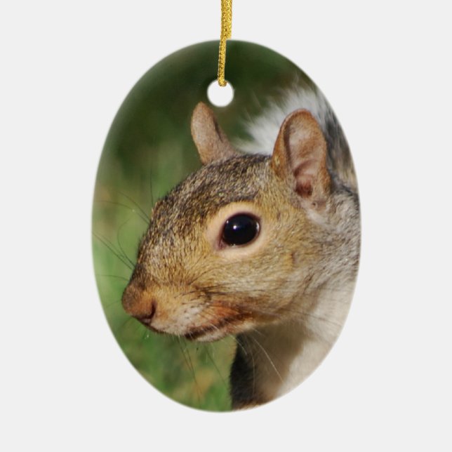 Eastern Grey Squirrel ornament (Front)