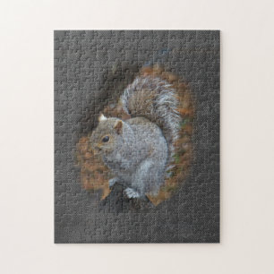 Eastern Grey Squirrel - Sciurus carolinensis Jigsaw Puzzle