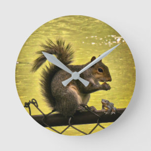 Eastern grey squirrel (Sciurus carolinensis) Round Clock