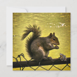 Eastern grey squirrel (Sciurus carolinensis) Thank You Card