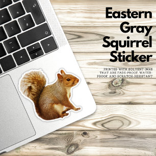  Eastern Grey Squirrel Sticker