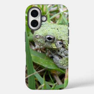 Eastern Grey Treefrog Nature Photography iPhone 16 Case