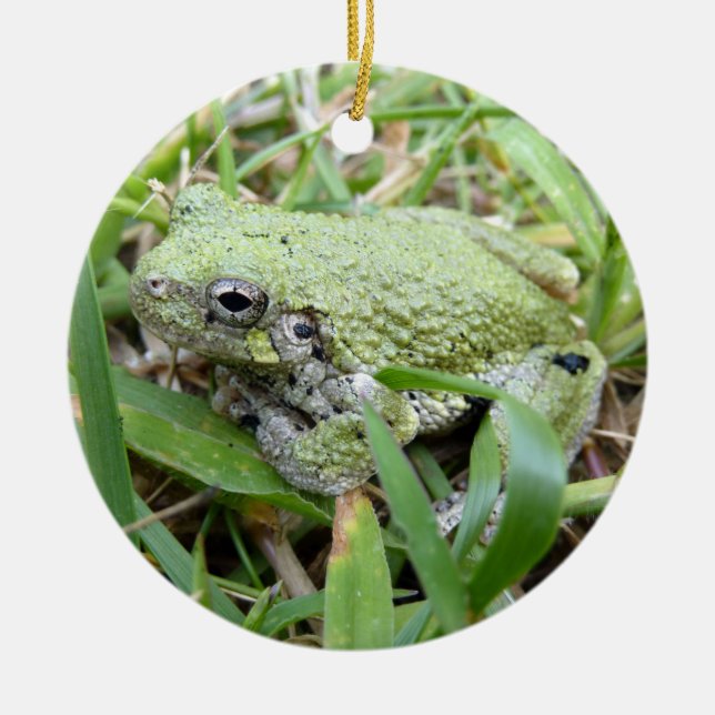 Eastern Grey Treefrog Nature Photography Ceramic Tree Decoration (Front)