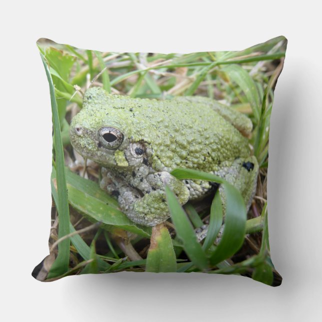 Eastern Grey Treefrog Nature Photography Cushion (Front)