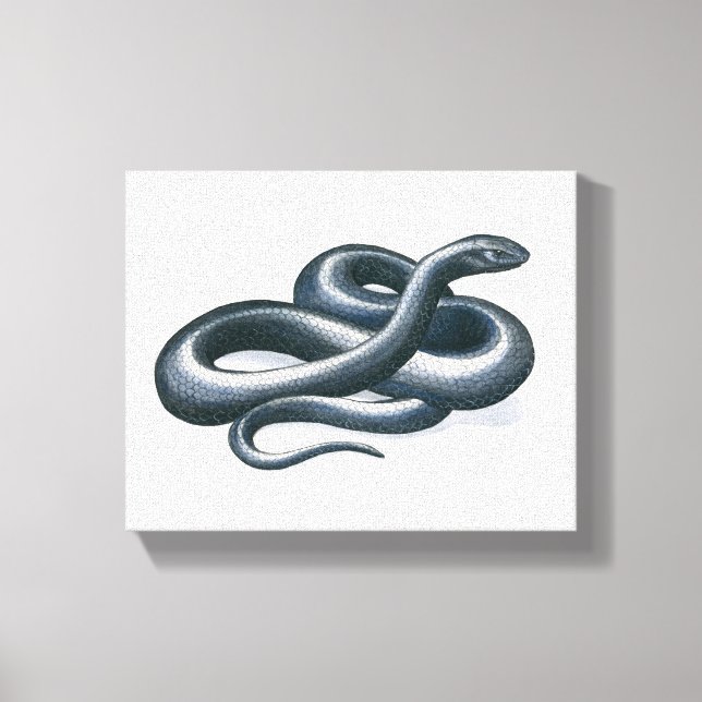 Eastern Indigo Snake Canvas Print (Front)