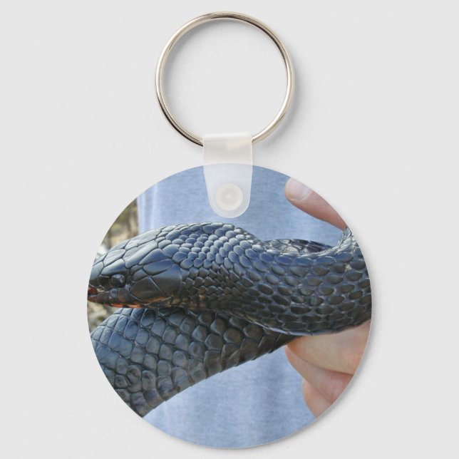Eastern indigo snake (Drymarchon corais couperi) Key Ring (Front)