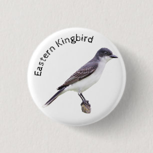 Eastern Kingbird 3 Cm Round Badge