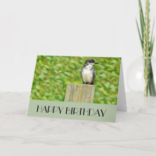 Eastern Kingbird - Birthday Card