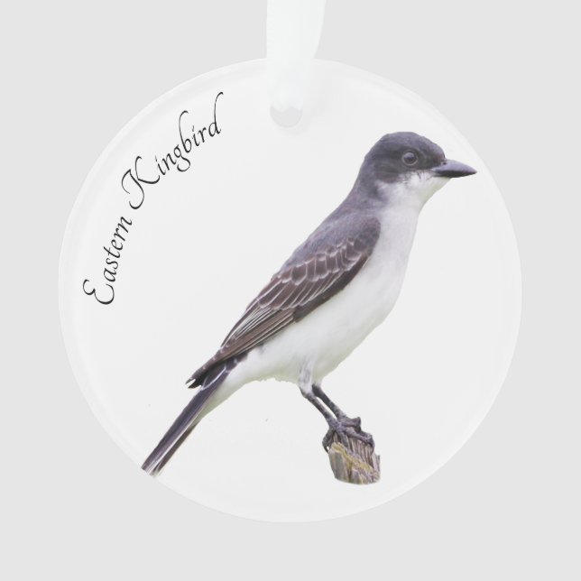 Eastern Kingbird Ornament (Front)