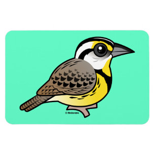 Eastern Meadowlark Magnet