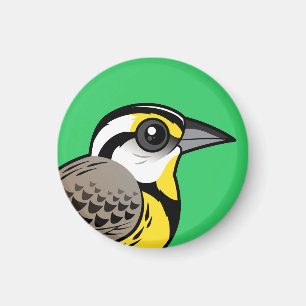 Eastern Meadowlark Magnet