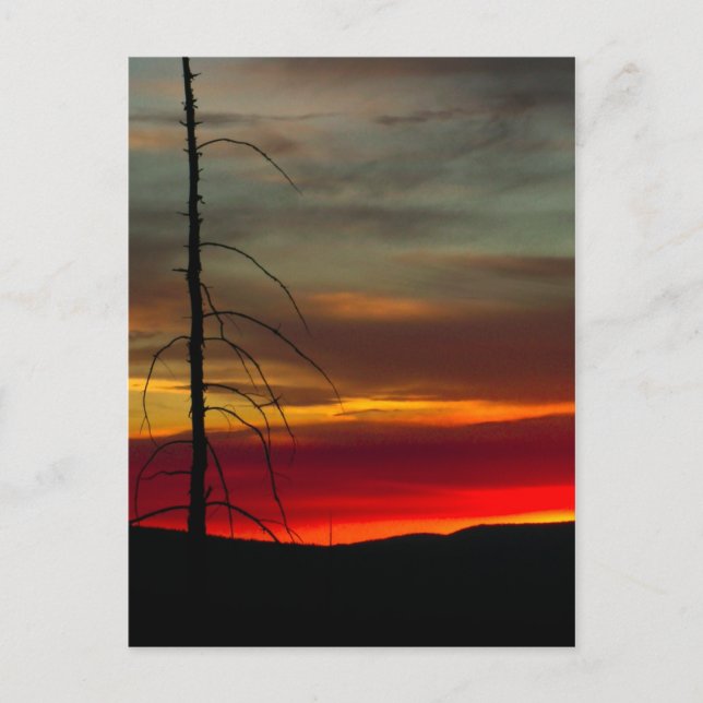 Eastern Oregon Sunrise Postcard (Front)