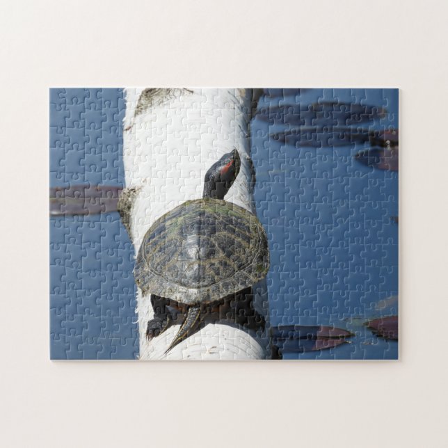 Eastern Painted Turtle Sitting on Birch Jigsaw Puzzle (Horizontal)