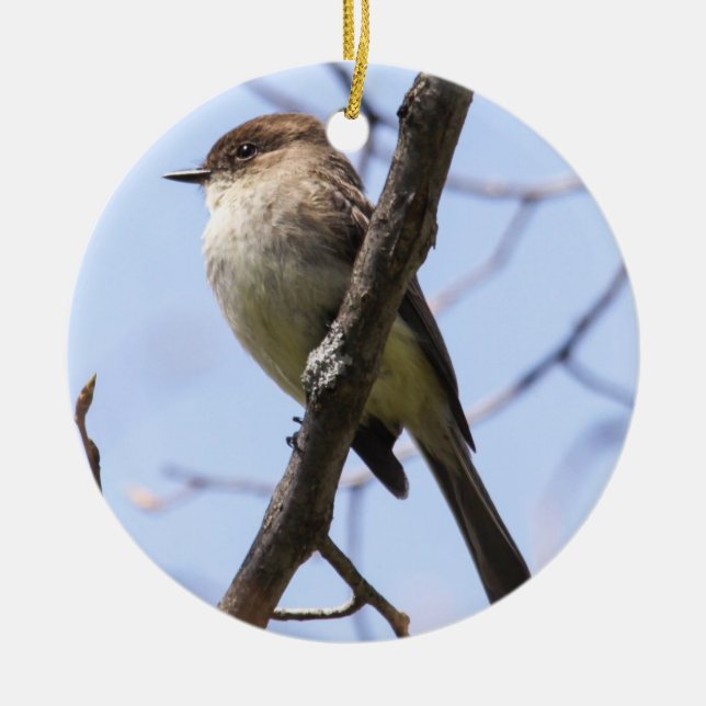 Eastern Phoebe Ceramic Tree Decoration (Front)