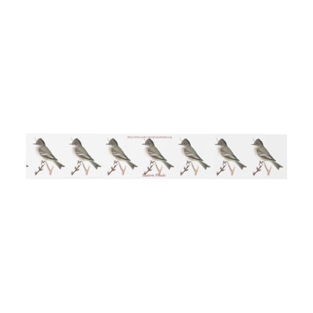 "Eastern Phoebe" Invitation Belly Band (Flat)