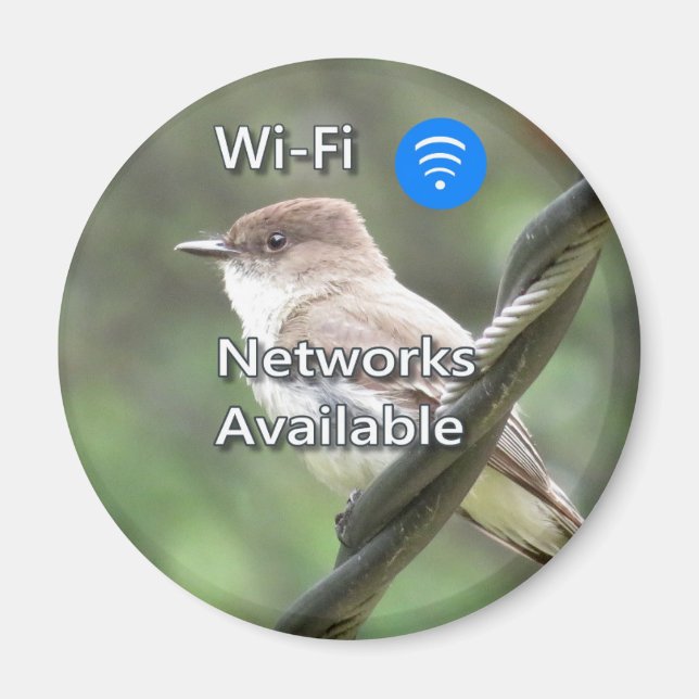 Eastern Phoebe Wi-Fi magnet (Front)