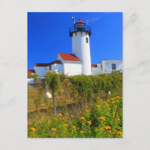 Eastern Point Lighthouse flowers Gloucester Postcard