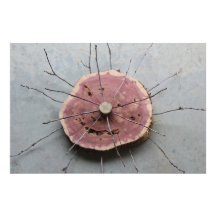 Eastern Red Cedar Nature Sculpture Centred