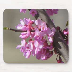 Eastern Redbud Blooms Mouse Pad