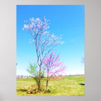 Eastern Redbud Stands Beside Eastern Redcedar Poster
